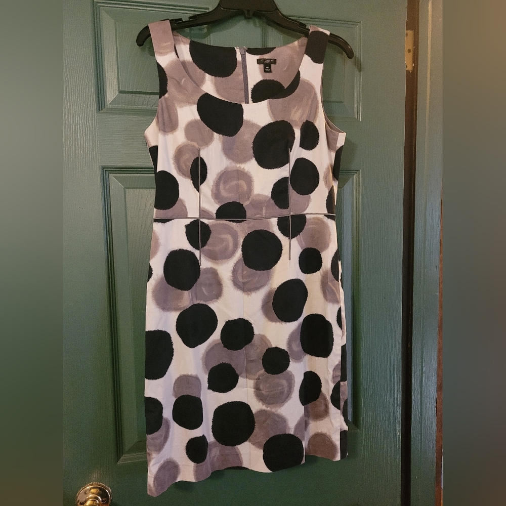 Ann Taylor Petite Dress Size 8P